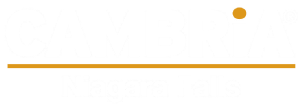 Cambria Hotel Niagara Falls - Logo